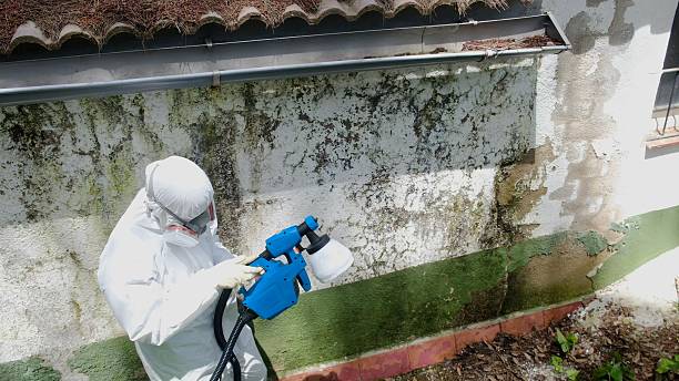 Top rated local Mold Removal specialists in Thomasville, GA